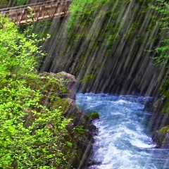 Rushing River Rapids & Rainstorm (75 Minutes)
