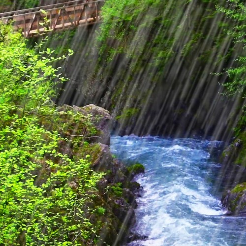 Rushing River Rapids & Rainstorm (75 Minutes)