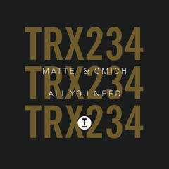 All You Need (Extended Mix)