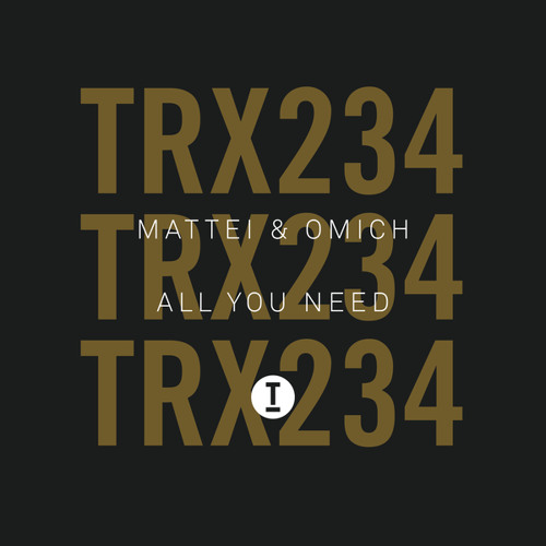 All You Need (Extended Mix)