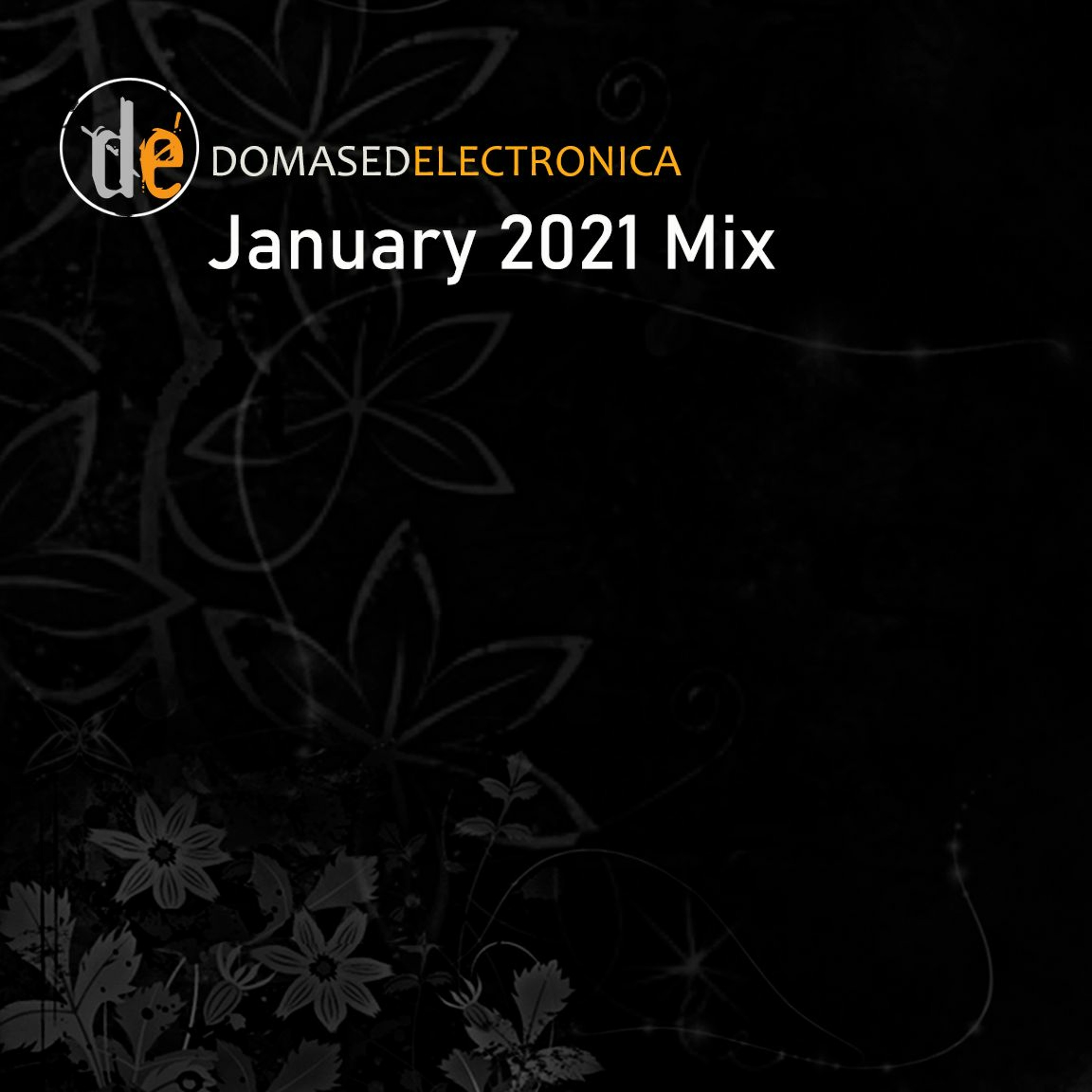 Domased Electronica