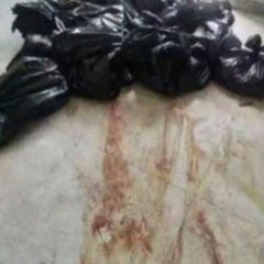 GUCCI MANE - HIT ANOTHER LICK ($ippy mixx)