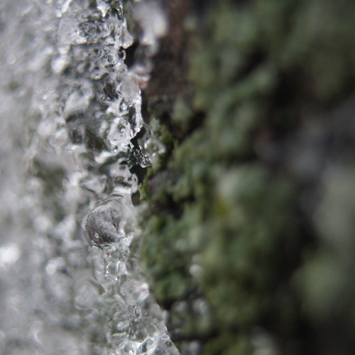 Flapping Coagulabilities (naviarhaiku585)