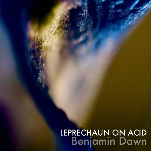 LEPRECHAUN ON ACID