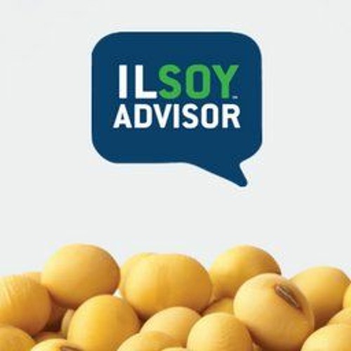 Stream Episode Scouting For Late Season Soybean Insects And Diseases By