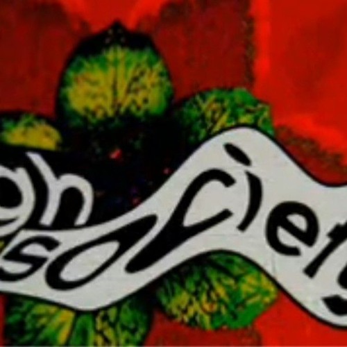 Paradise Connection - Creation