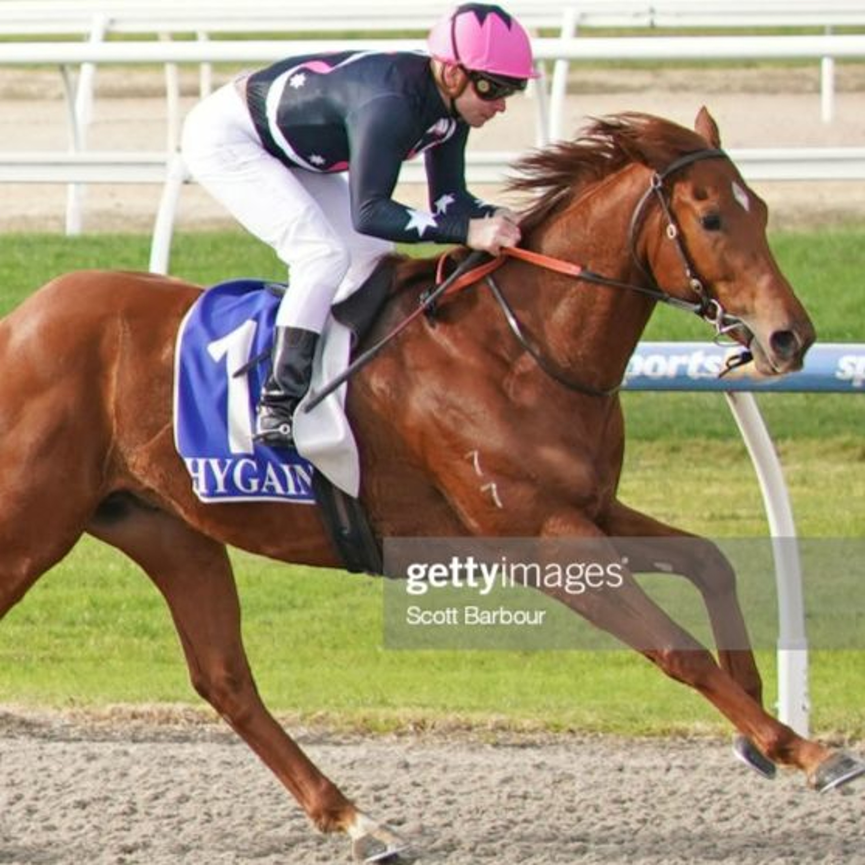 Sandown 14th Of July Midweek Punting Preview