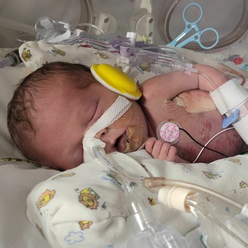 Tears of Life (Jason's Song)