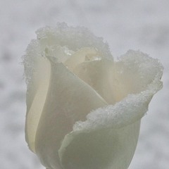 Game feat. Cire prod. iji & alongthewalls