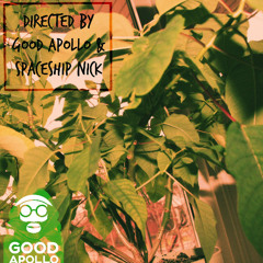 Live In Positivity (Featuring Spaceship Nick)