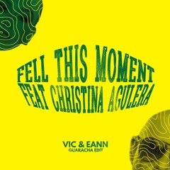 Pitbull - Feel This Moment (VIC & EANN Guaracha Edit)