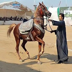 المجرونة(MP3_320K).mp3