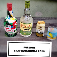 PULSION SHATTANATIONAL 2025 / DJ JOHN 972