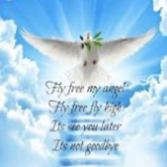 🌬️EIA EIA RIP NEREA FLY HI FLY HIGH🕊️