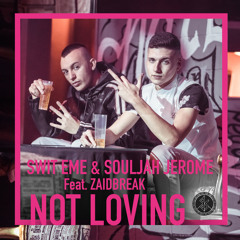 Not Loving (feat. Zaidbreak)