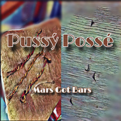 Pussý Possé
