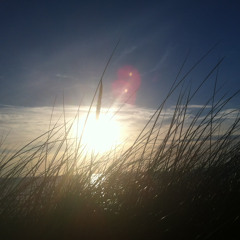 Arrival of the Birds (cover)