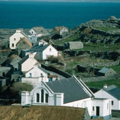 The Slow Green Pulse (version 2)