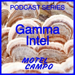 Motel Campo Podcast 017 - Gamma Intel