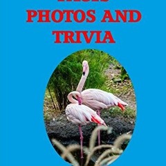 [Access] KINDLE PDF EBOOK EPUB Flamingo Facts Photos and Trivia by  Ritchey M Marbury III 💓