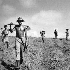 Reforma Agrária Experimental Brasileira