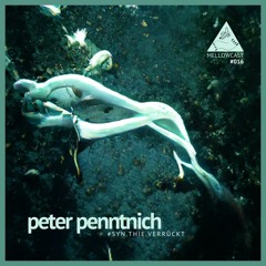 mellowcast #016 | peter penntnich