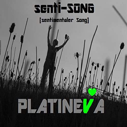 Senti Vibes Punjabi 8D MIX ✅