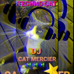 Techno Cat By Dj Cat Mercier