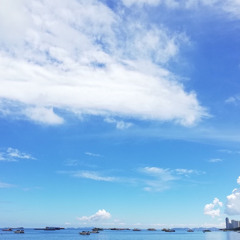 【 Psalm 詩篇 139篇 7-10節 詩歌 】  我往哪裡去躲避祢的靈｜Melody: 柯菲比姊妹 (‘21. 9. 2)