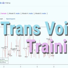 Trans Voice Pod