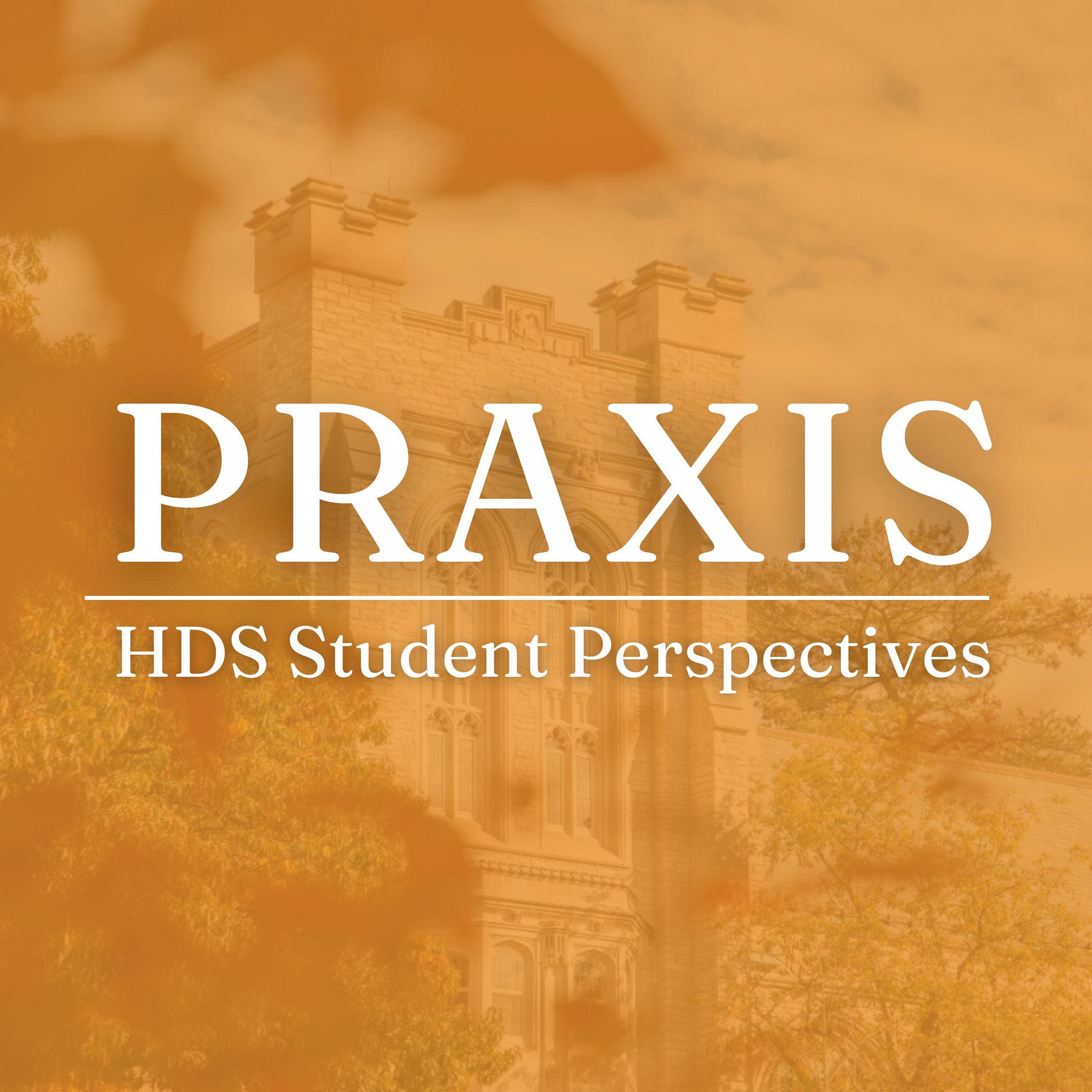 The Intersection of Healing, Veteran Service, and Motherhood: A Praxis Podcast featuring Amy Sexauer