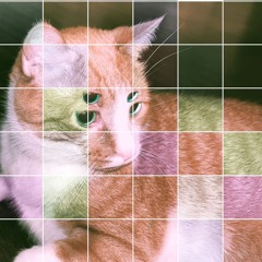 Praline Dream *FREE DOWNLOAD*