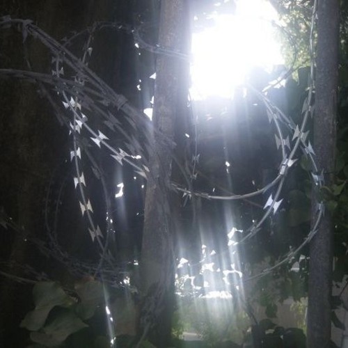 otupel :// (xnighttt + jamox + speenzy)