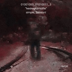 01001000_01010011_3 "keskegfdmalife" (Benson!)