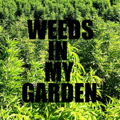 weeds in my garden