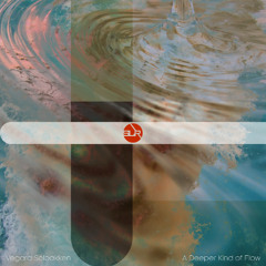 Vegard Solbakken - Protect the Goove