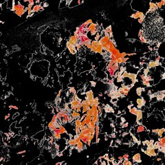 supercut - lorde x paramore mix