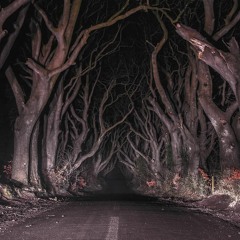 Spooky Vibes