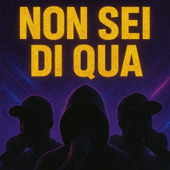 NON SEI DI QUA