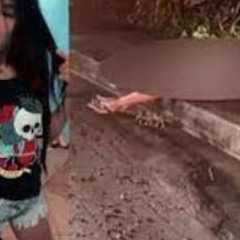 18+) Full@ New Portal Do Zacarias Lenita Silva Caso Lenita Portal Zacarias Portal Zacarias Lenita
