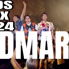 STDS MIX 2024