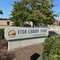 The Bennett Show (on the road) - Epi 13 "FISH LADDER"
