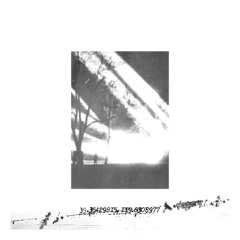 Thousand Needles - Violent Decisions On The Marble Floor