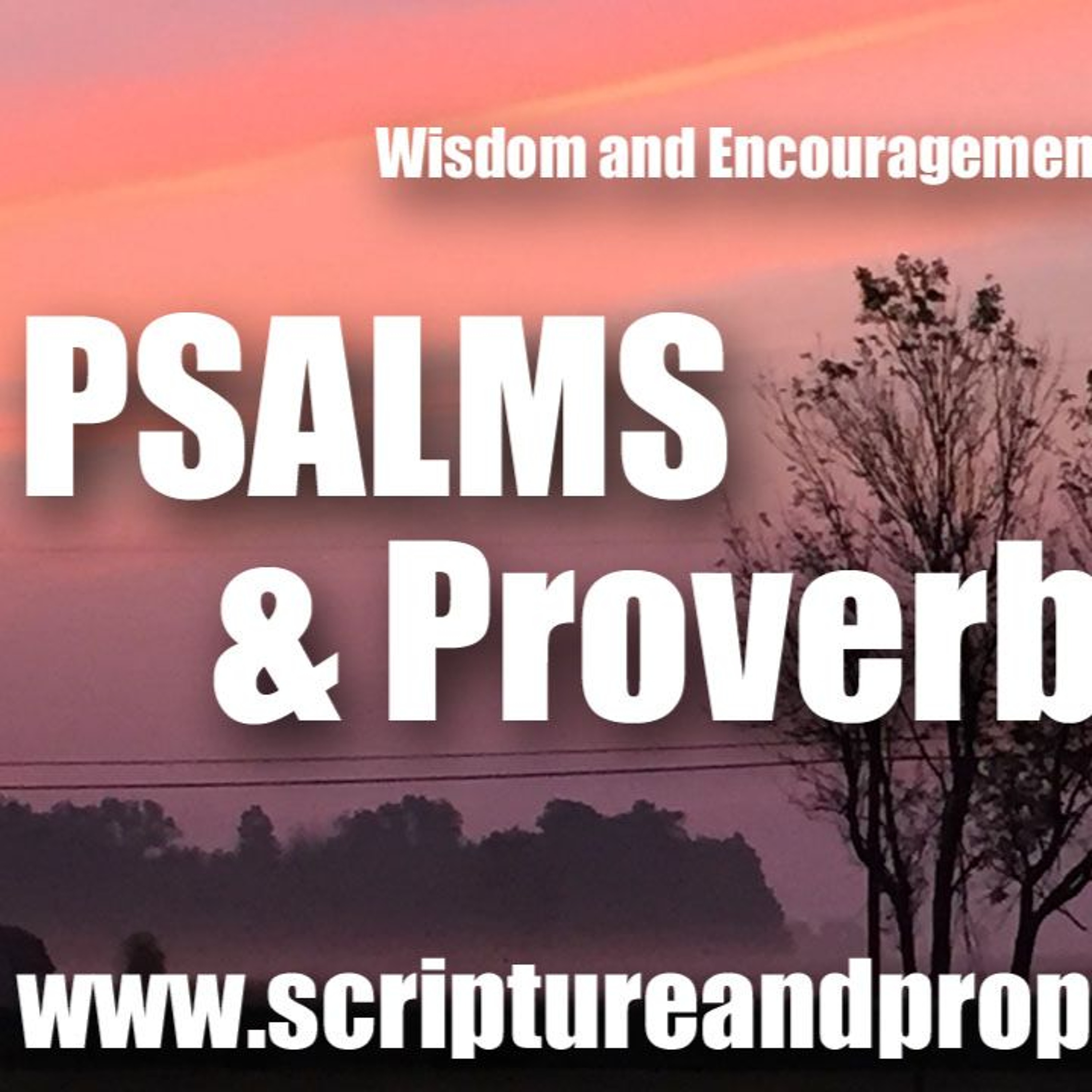 Scripture & Prophecy - Weekly Bible Studies