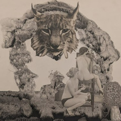 Walpurga Waldparty 2024