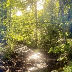 Creek