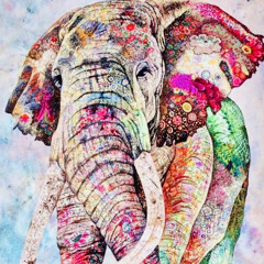 ELEPHANT WORLD 🎧