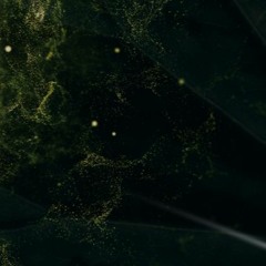 Equilibrium 10.10.20