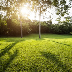 grass is greener
