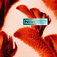 Nine Inch Nails - The Day The World Went Away (Electer Remix)